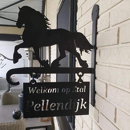 Luxe Gastenkamer Met Living En Keuken Bij Friezen Paarden Stal PellendijkWestendorp エクステリア 写真