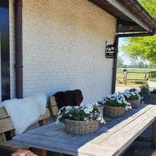 Luxe Gastenkamer Met Living En Keuken Bij Friezen Paarden Stal PellendijkWestendorp エクステリア 写真